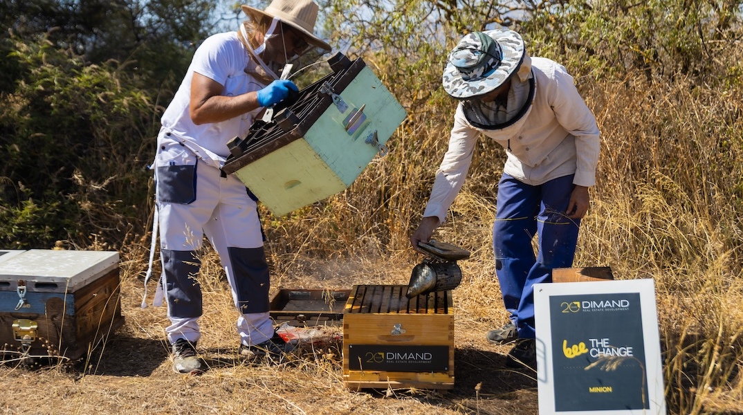 dimand_minion_beethe_change_2_jim_georgosopoulos