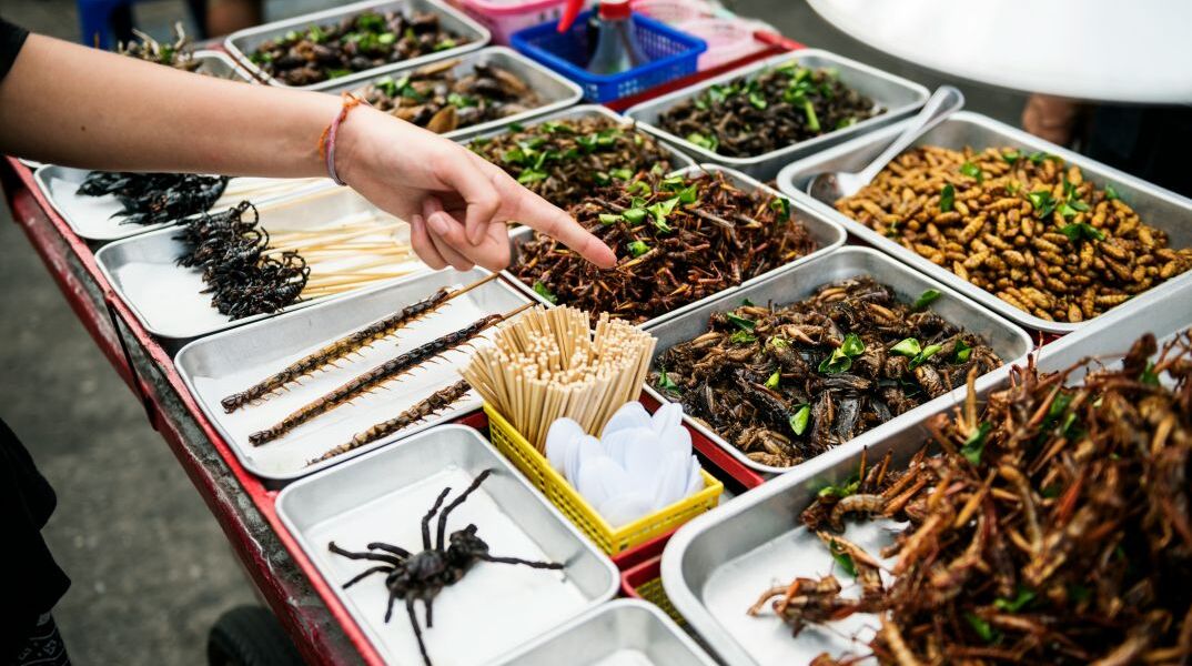 Η τεχνολογία και η επιστήμη εντάσσουν τα έντομα στη διατροφή μας