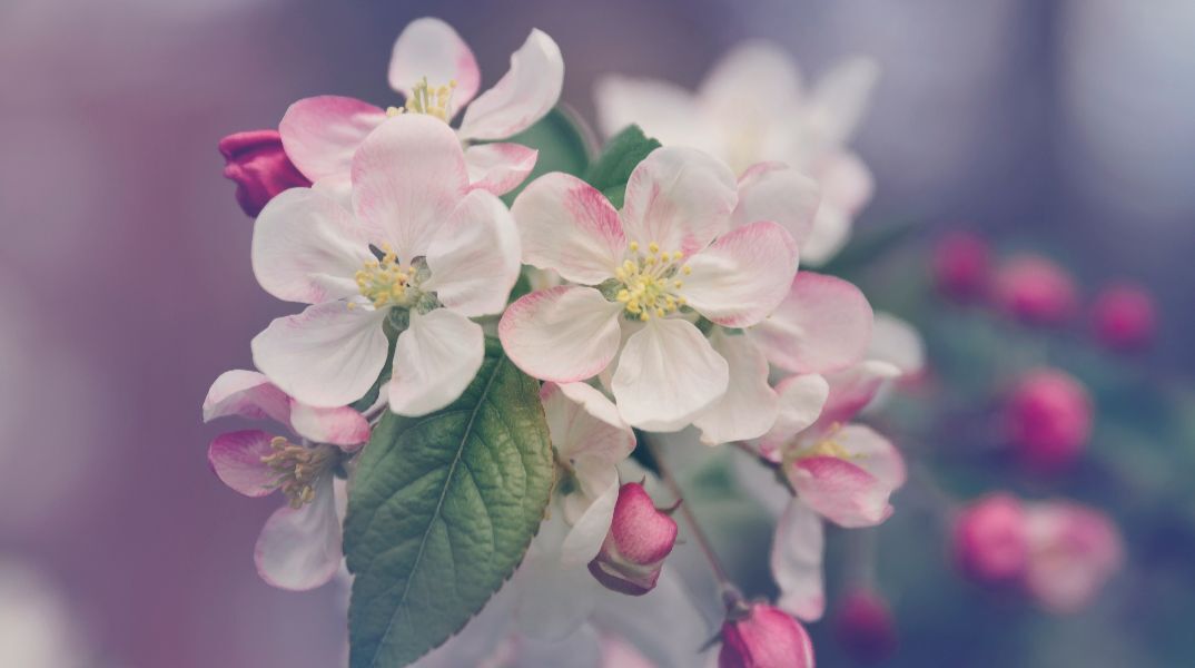 Εορτολόγιο: Σήμερα, 20 Φεβρουαρίου 2026, γιορτάζει…