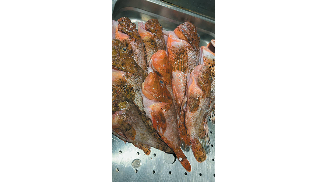 Isalos seaside restaurant