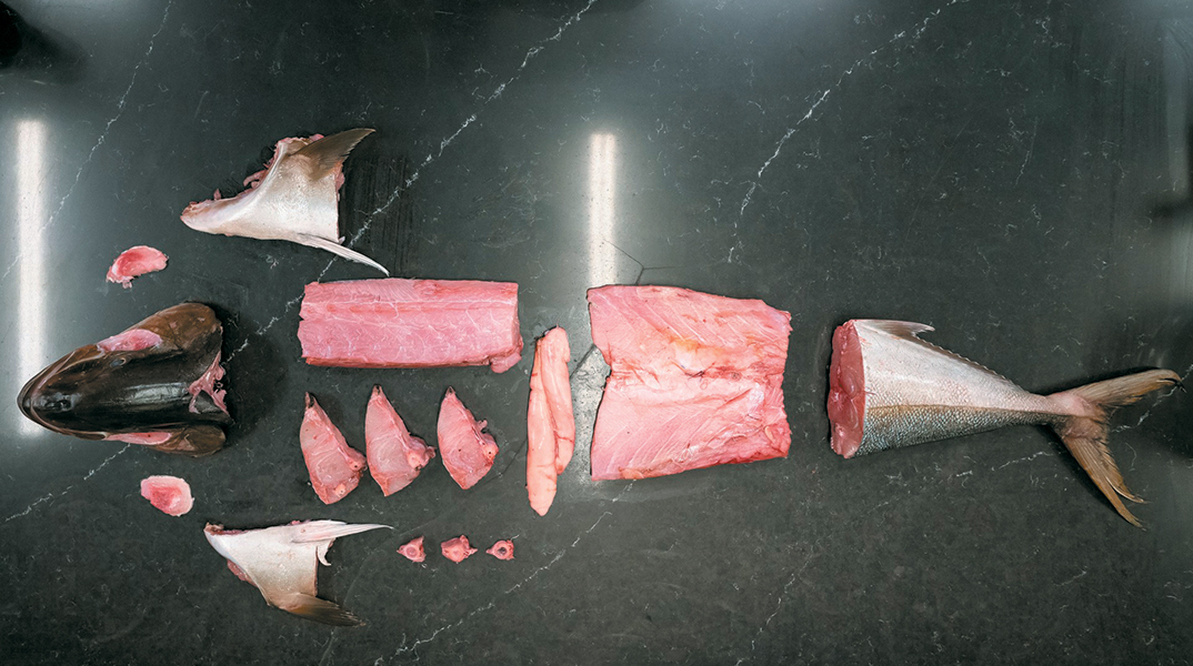 Βασίλαινας