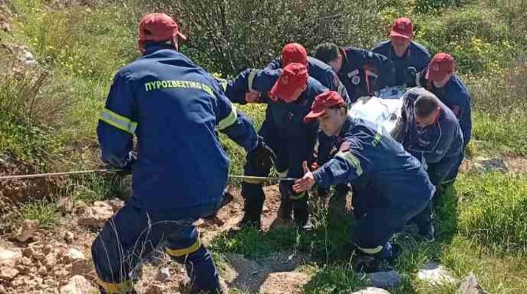 Η επιχείρηση διάσωσης του άνδρα στο Άλσος Βεϊκου