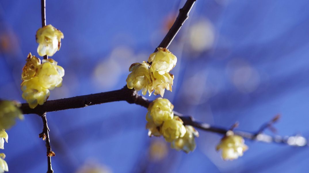 Εορτολόγιο: Σήμερα, 25 Φεβρουαρίου 2026, γιορτάζει…