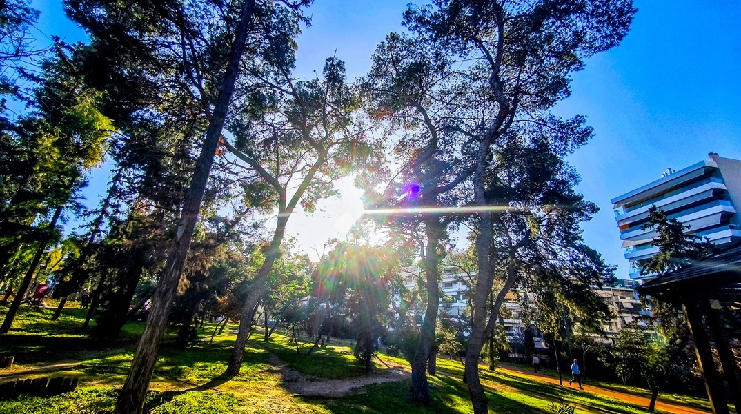 Ήλιος πίσω από τα φυλλώματα δέντρου