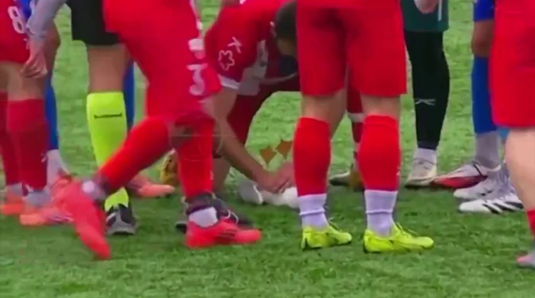 Πέθανε ο γλάρος που επανήλθε με ΚΑΡΠΑ από ποδοσφαιριστή στην Τουρκία