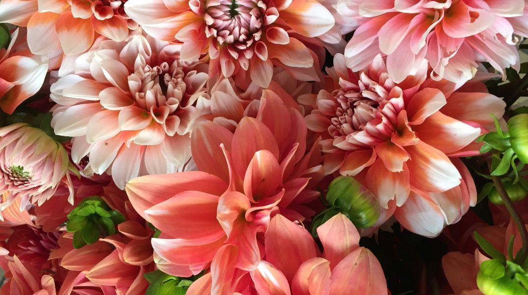 Εορτολόγιο: Σήμερα, 26 Φεβρουαρίου 2026, γιορτάζει…