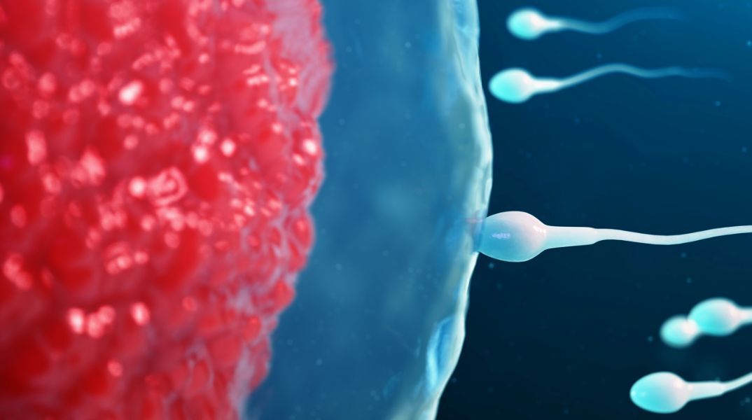 Έρευνα αποκαλύπτει ότι η κινητικότητα του σπέρματος κορυφώνεται το καλοκαίρι και πέφτει τον χειμώνα - Νέα δεδομένα για τη βελτίωση των θεραπειών γονιμότητας