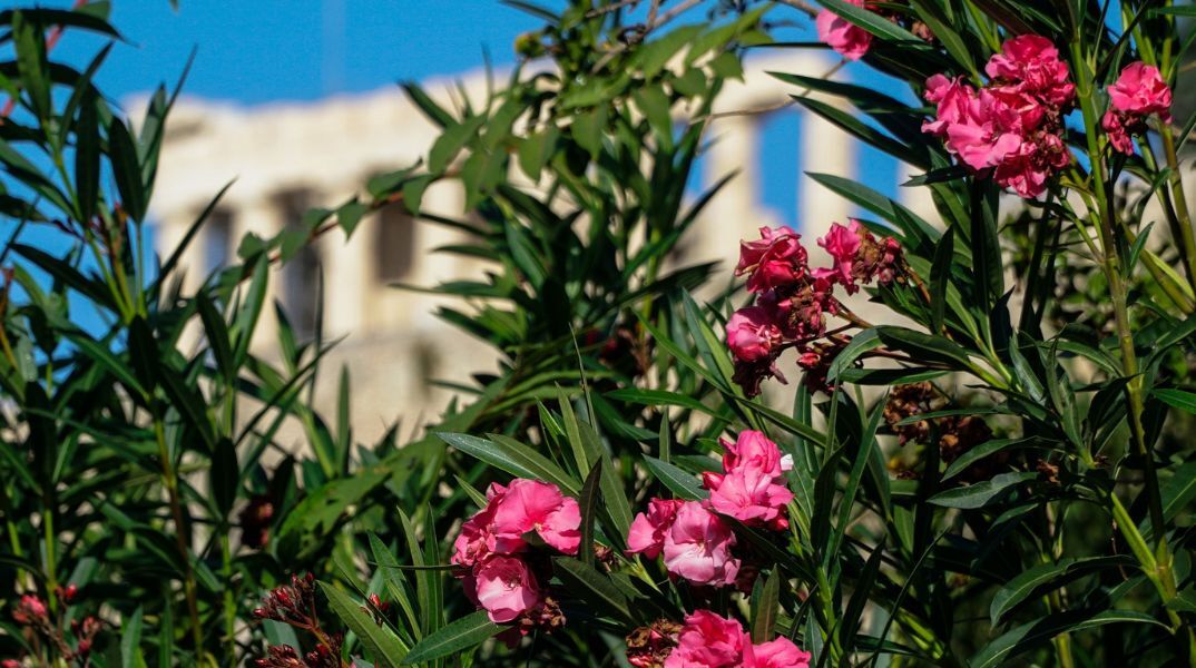 Ο Γιώργος Τσατραφύλλιας προαναγγέλλει ανοιξιάτικο Μάρτιο με ήλιο και άνοδο θερμοκρασίας, καθώς ένας αντικυκλώνας θα λειτουργήσει ως «ασπίδα» κακοκαιρίας.