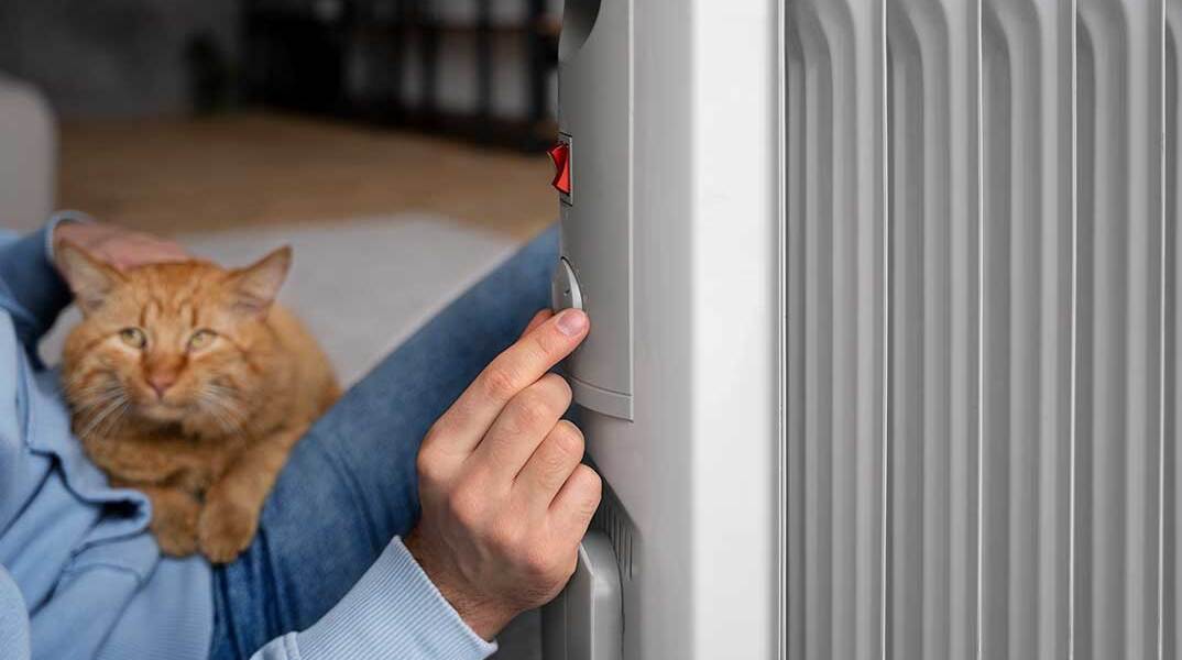 Γυναίκα με γάτα δίπλα από καλοριφέρ