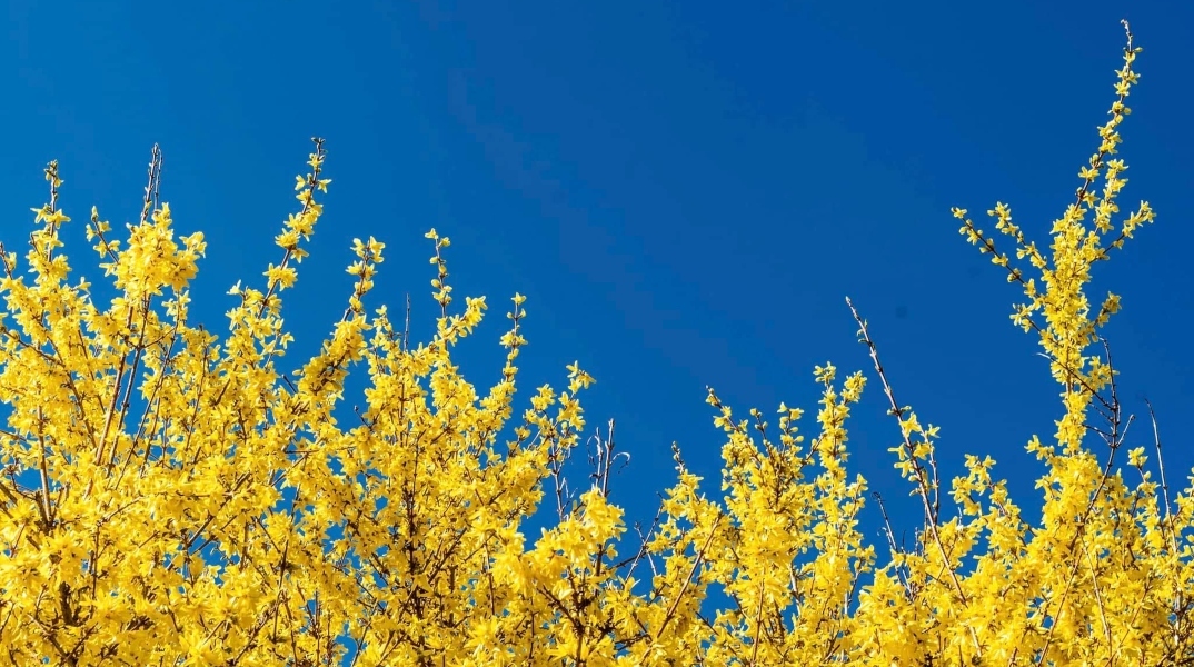 Η αλληγορία της άνοιξης