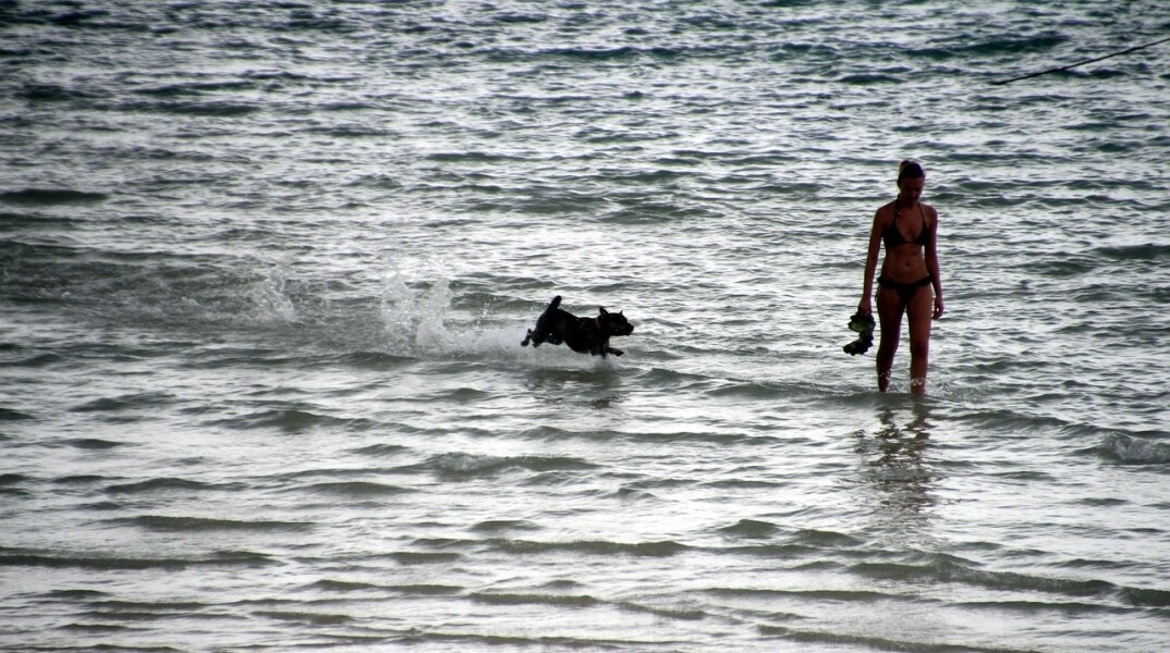 Γυναίκα με μαγιό μαζί με τον σκύλο της στην παραλία