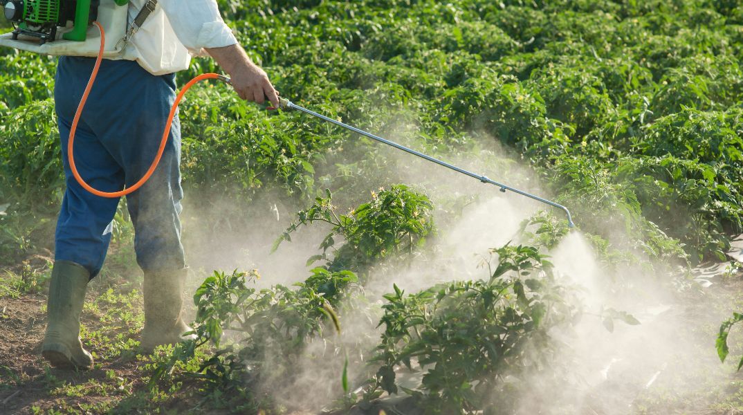 Τα φυτοφάρμακα αυξάνουν τον κίνδυνο ανάπτυξης καρκίνου 