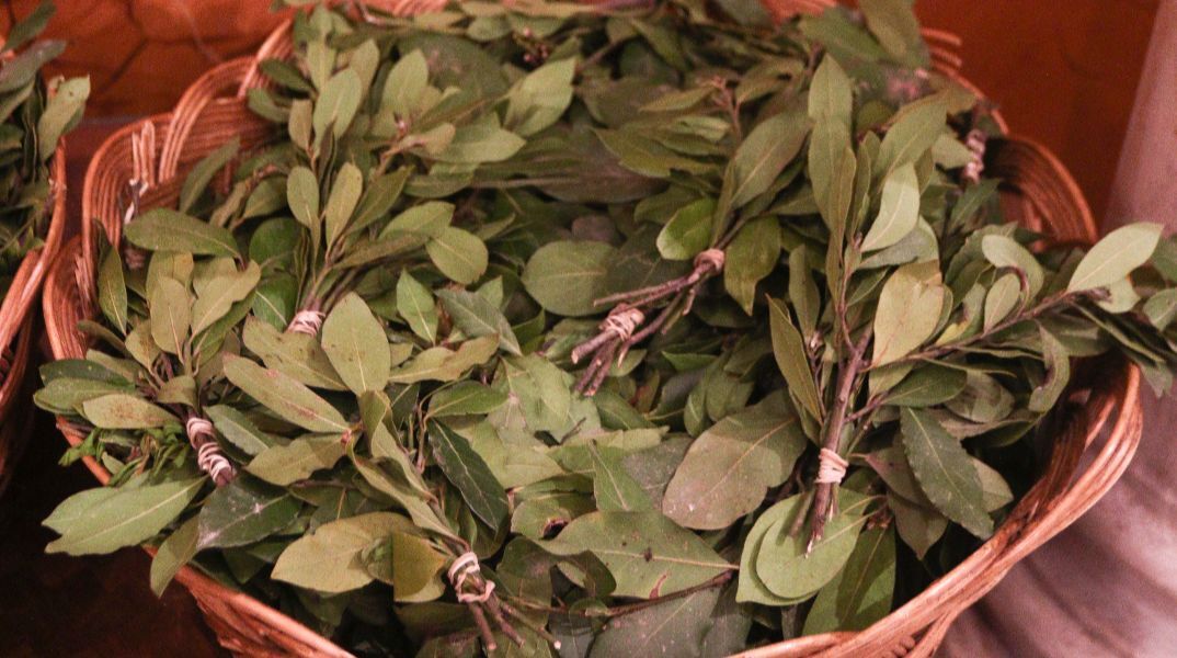 Κυριακή των Βαΐων: Γιατί τρώμε ψάρι σήμερα - Τι γιορτάζουμε