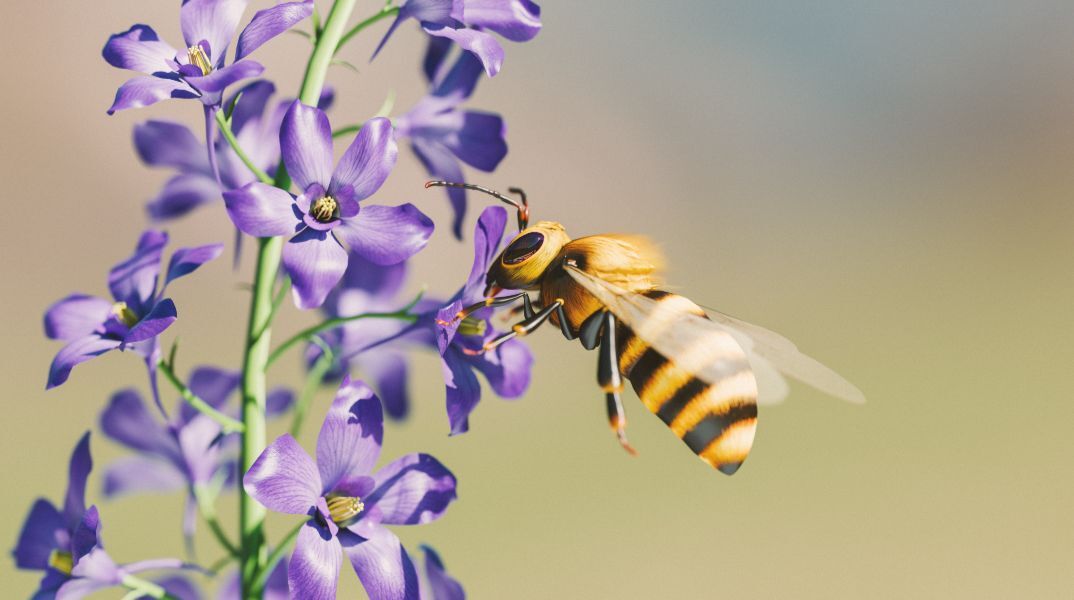 Εντυπωσιακή ανακάλυψη για τις μέλισσες: Αντιλαμβάνονται τον ρυθμό όπως τα ανώτερα ζώα