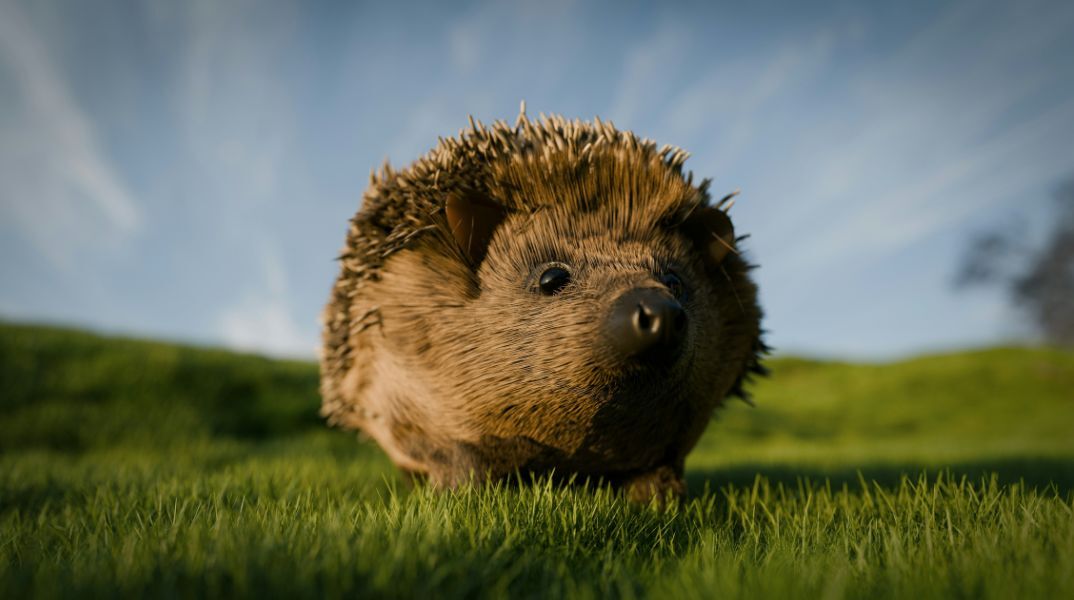 Γερμανοί δήμαρχοι ζητούν απαγόρευση νυχτερινής χρήσης ρομποτικών χλοοκοπτικών, καθώς απειλούν σκαντζόχοιρους © Unsplash+/A Chosen Soul