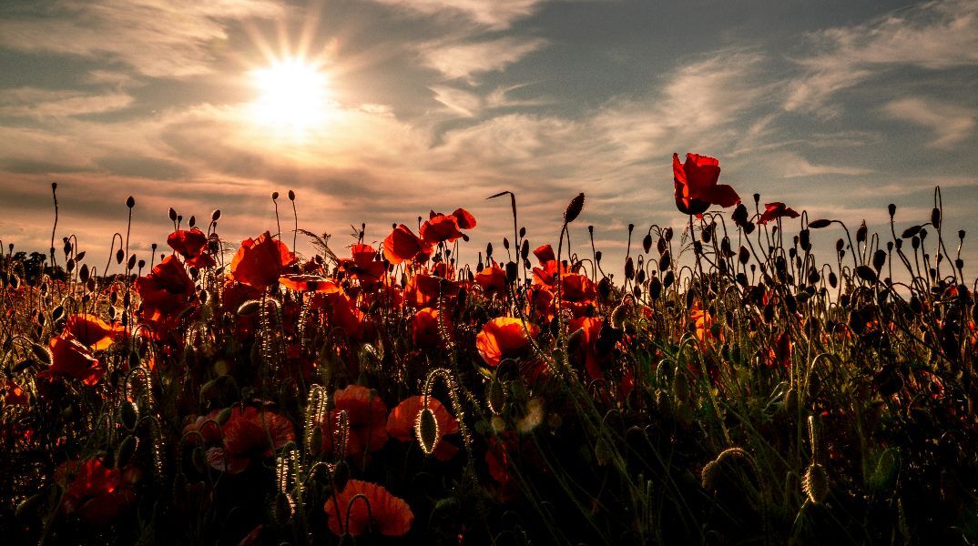 Εορτολόγιο: Σήμερα 8 Απριλίου 2026 γιορτάζει…