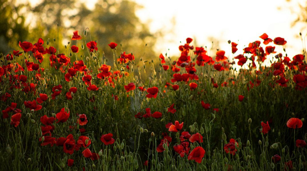 Εορτολόγιο: Σήμερα 9 Απριλίου 2026 γιορτάζει…