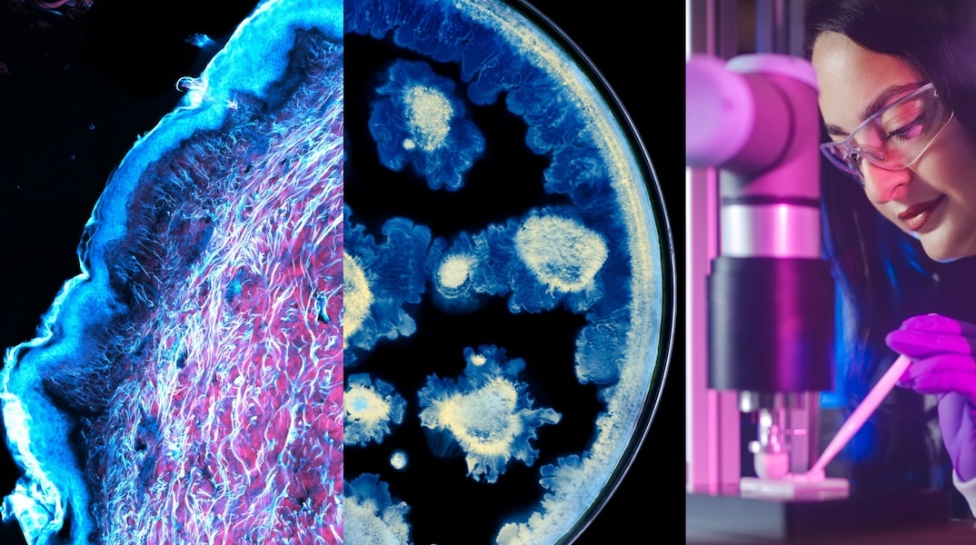 loreal_x_institut_pasteur_-__loreal