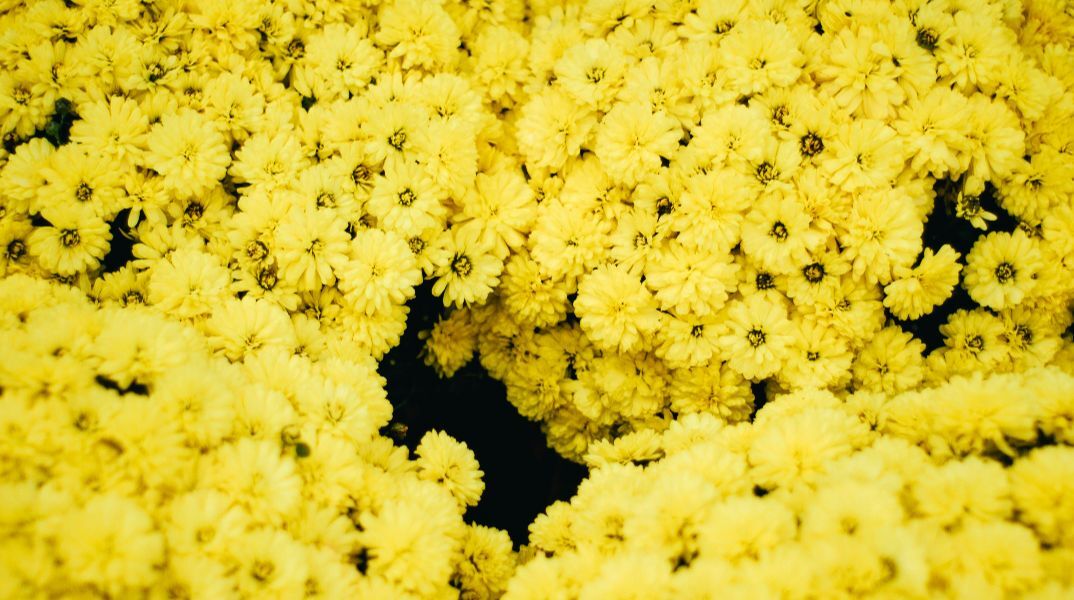 Εορτολόγιο: Σήμερα 10 Απριλίου 2026 γιορτάζει…