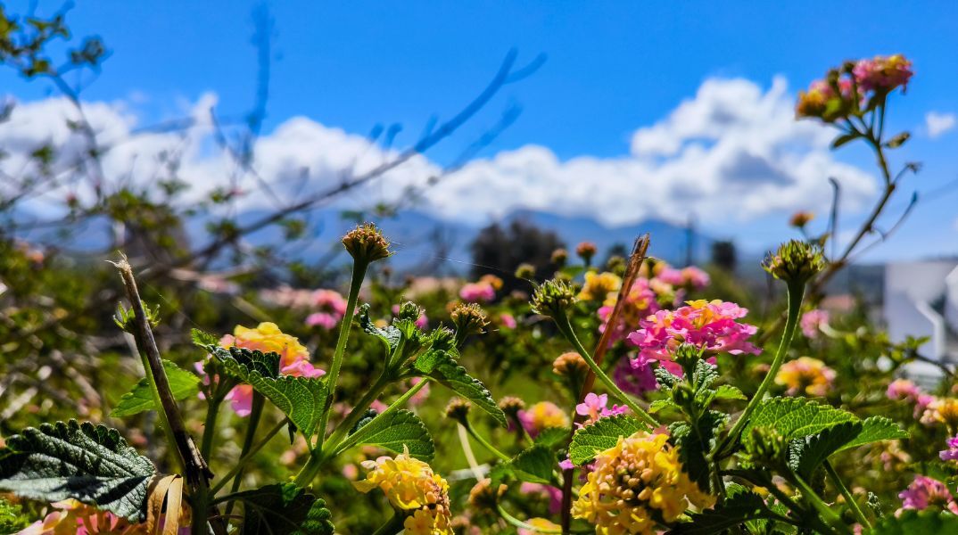 Ο καιρός την Κυριακή του Πάσχα: Άνοδος θερμοκρασίας έως 22°C, παροδικές νεφώσεις και τοπικές βροχές στα ηπειρωτικά ορεινά - Αναλυτική πρόγνωση