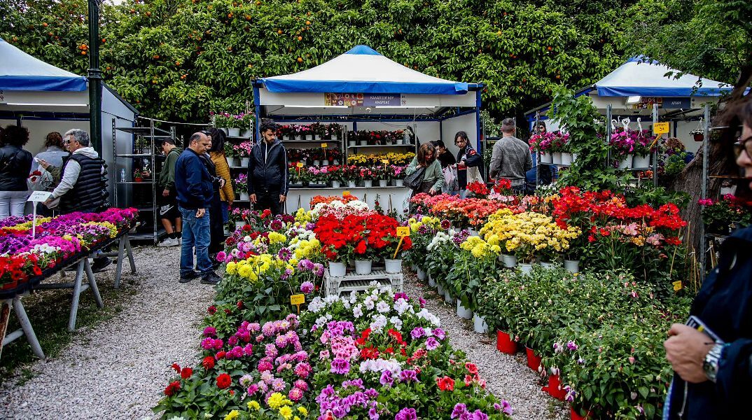 Η Ανθοκομική Έκθεση Κηφισιάς επιστρέφει για τους λάτρεις των λουλουδιών και των φυτών