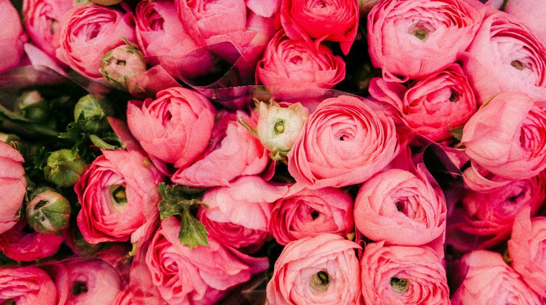 Εορτολόγιο: Σήμερα 16 Απριλίου 2026 γιορτάζει…