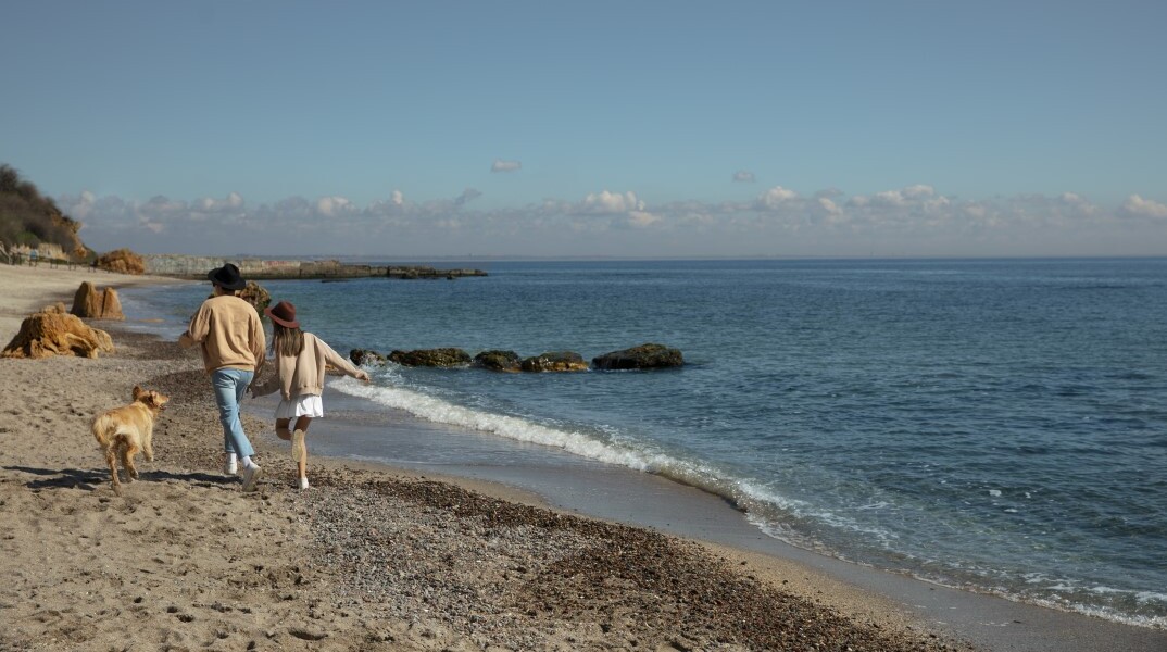 Ζευγάρι με τον σκύλο τους σε παραλία