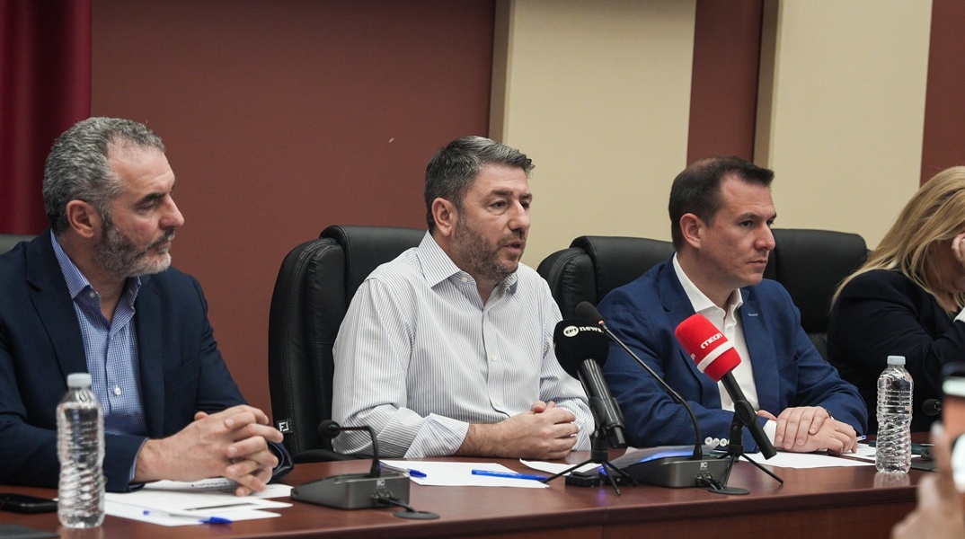 Νίκος Ανδρουλάκης