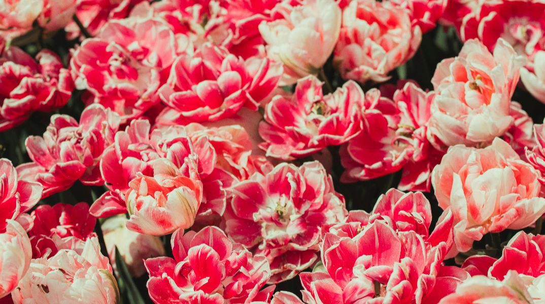 Εορτολόγιο: Σήμερα 22 Απριλίου 2026 γιορτάζει…