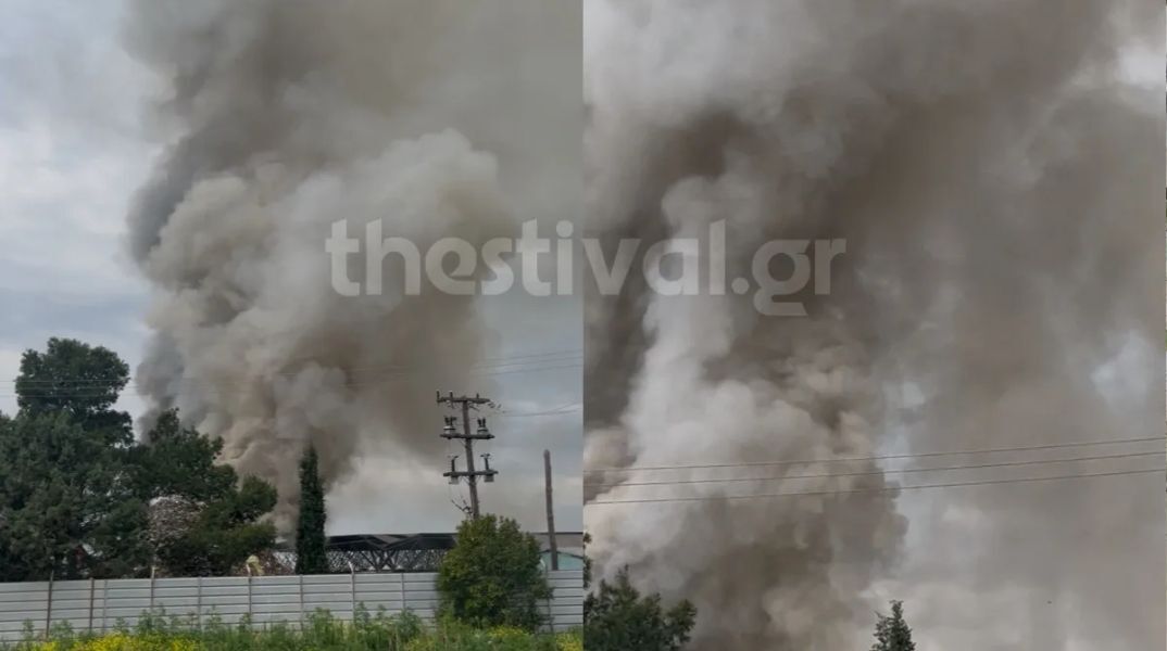 Τοξικός κίνδυνος από τη φωτιά στο Θεσσαλονίκη -Καθηγήτρια του ΑΠΘ εξηγεί τι συμβαίνει με τις καρκινογόνες ενώσεις