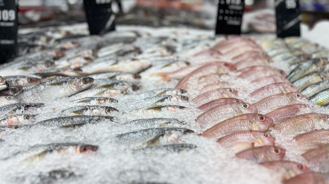 Ο ανανεωμένος οδηγός του WWF Ελλάς «Fish Guide» ρίχνει φως σε όσα κρύβονται πίσω από τα ψάρια που φτάνουν στο πιάτο μας