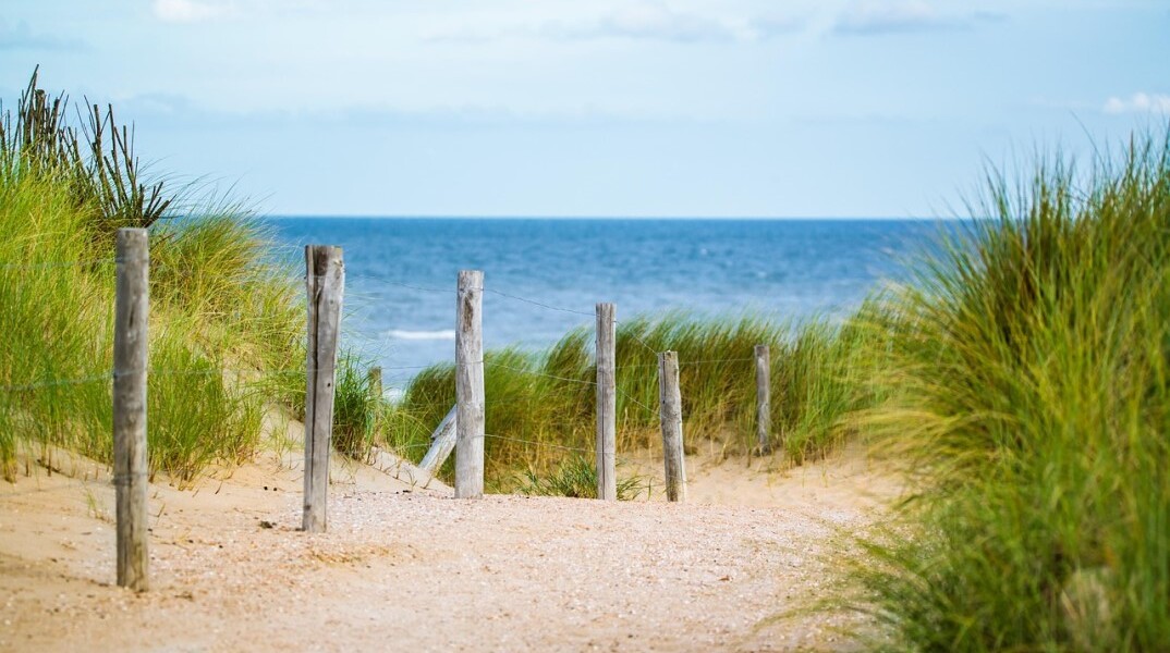 Πάσσαλοι σε παραλία
