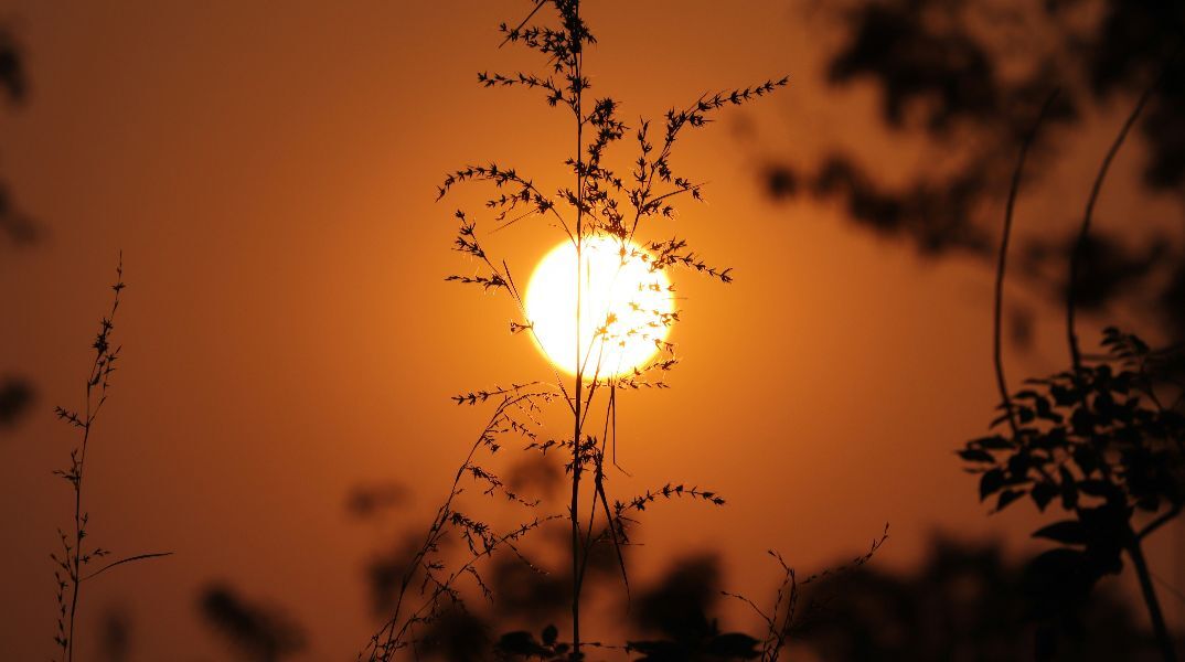 Ελ Νίνιο: Πιθανή επιστροφή από το καλοκαίρι 2026 – Υψηλότερες θερμοκρασίες παγκοσμίως