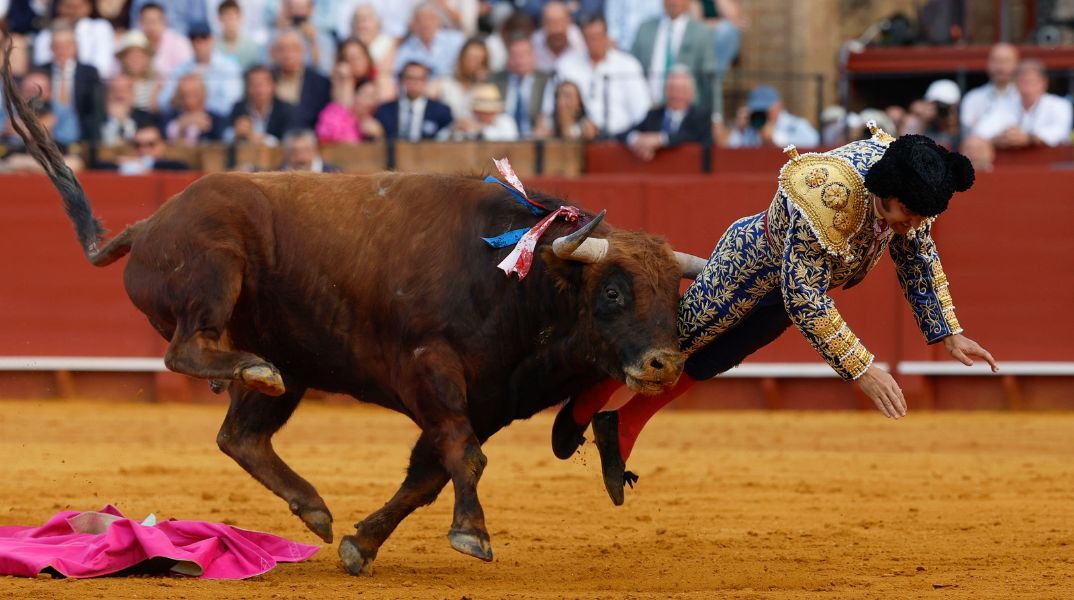 Ο «βασιλιάς των ταυρομάχων» Μοράντε ντε λα Πουέμπλα δίνει μάχη με τον πόνο μετά από βάναυσο ατύχημα - Τραυματίστηκε σοβαρά σε ταυρομαχία στη Σεβίλλη