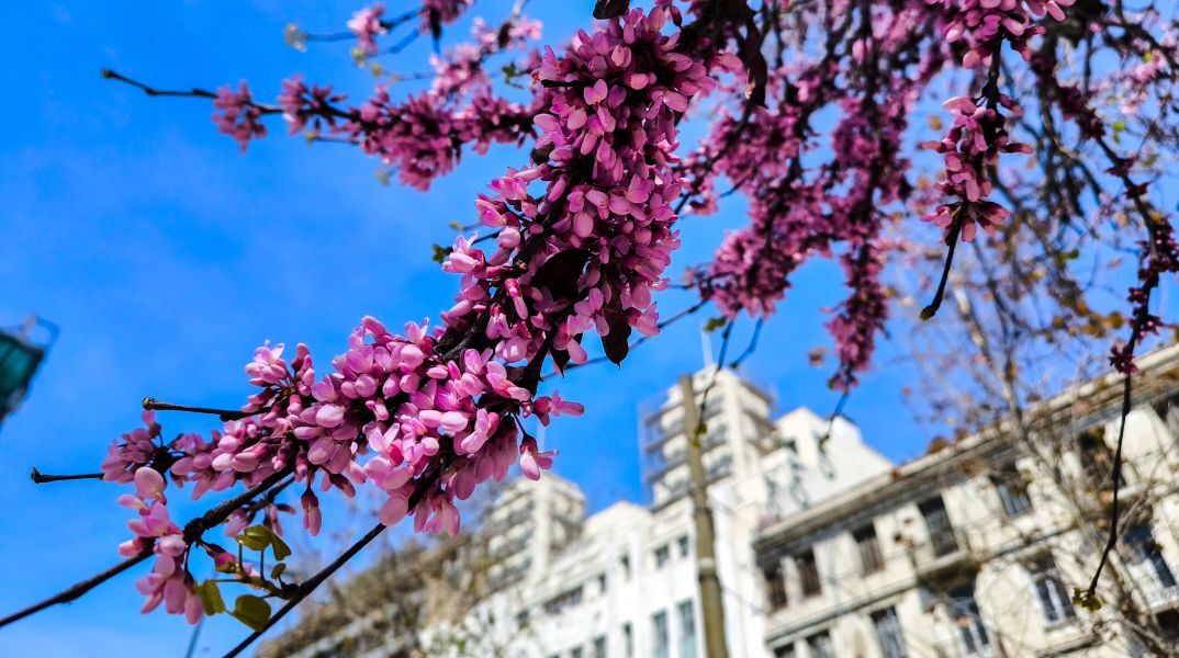 Καιρός σήμερα: Ήλιος στις περισσότερες περιοχές και τοπικές βροχές σε Κρήτη και Δωδεκάνησα - Θερμοκρασίες έως 23°C και άνεμοι έως 6 μποφόρ.