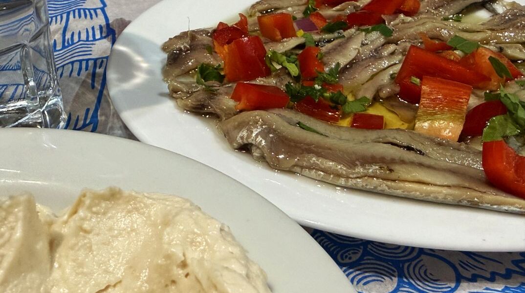 Ζάχος, η αθάνατη ελληνική ταβέρνα στα καλύτερά της