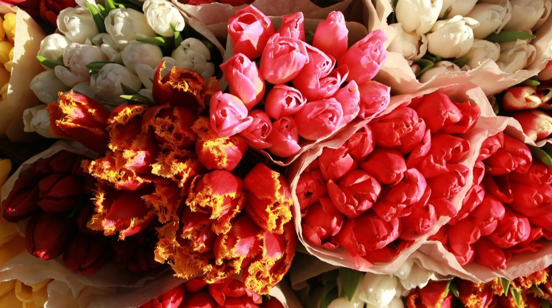 Εορτολόγιο: Σήμερα 29 Απριλίου 2026 γιορτάζει…