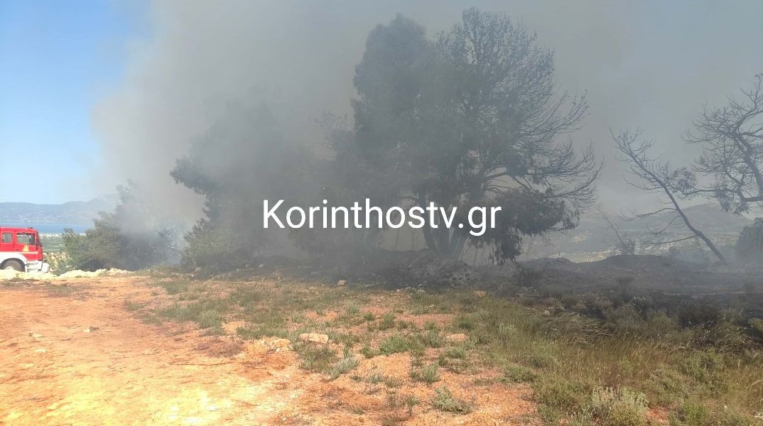 Κορινθία: Φωτιά σε πευκοδάσος στο Ζευγολατιό – Μεγάλη κινητοποίηση της Πυροσβεστικής