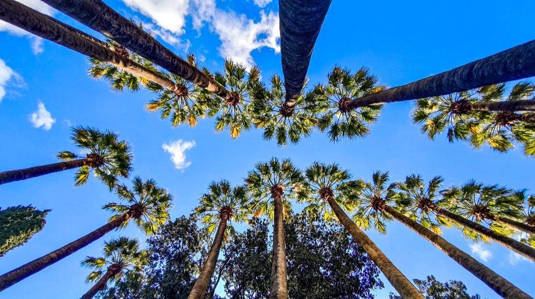 Καιρός: Μέχρι τους 26°C η θερμοκρασία την Τετάρτη - Πού θα βρέχει