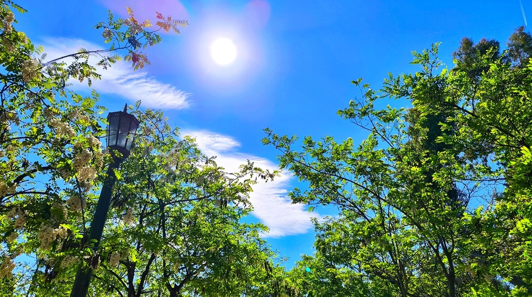 Λίγα σύννεφα πάνω από δέντρα