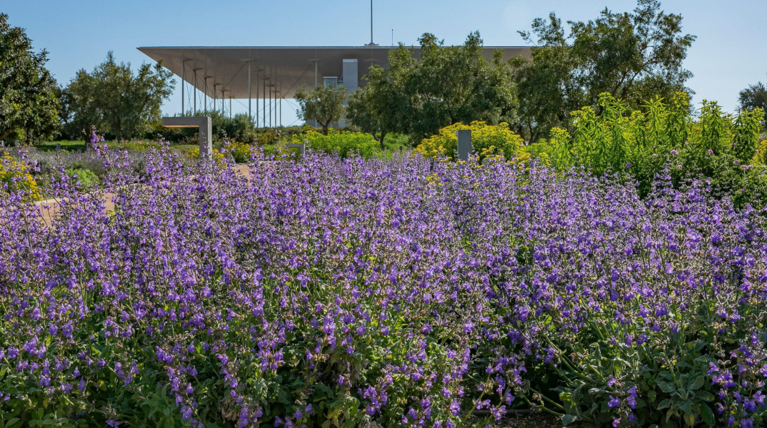 Πάρκο Σταύρος Νιάρχος