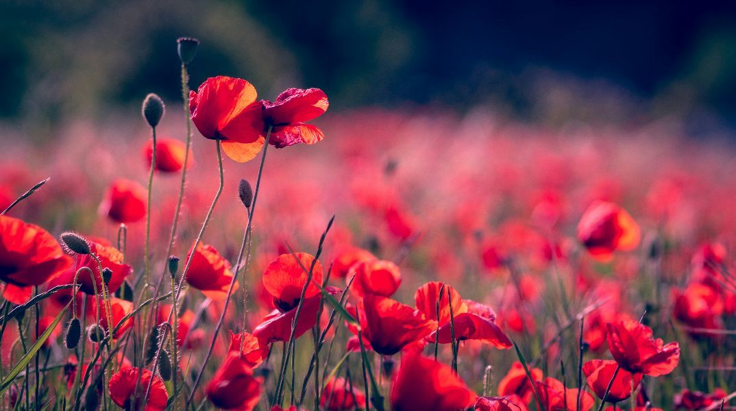 Πρωτομαγιά 2027: Πώς προκύπτει απρόσμενο πενθήμερο αργίας