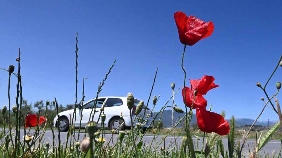 FedHATTA: Επιφυλακτικοί οι Έλληνες για την Πρωτομαγιά λόγω κόστους - Προτιμούν οδικές αποδράσεις σε Ζαγοροχώρια και Ναύπλιο - Μειωμένο ενδιαφέρον για εξωτερικό