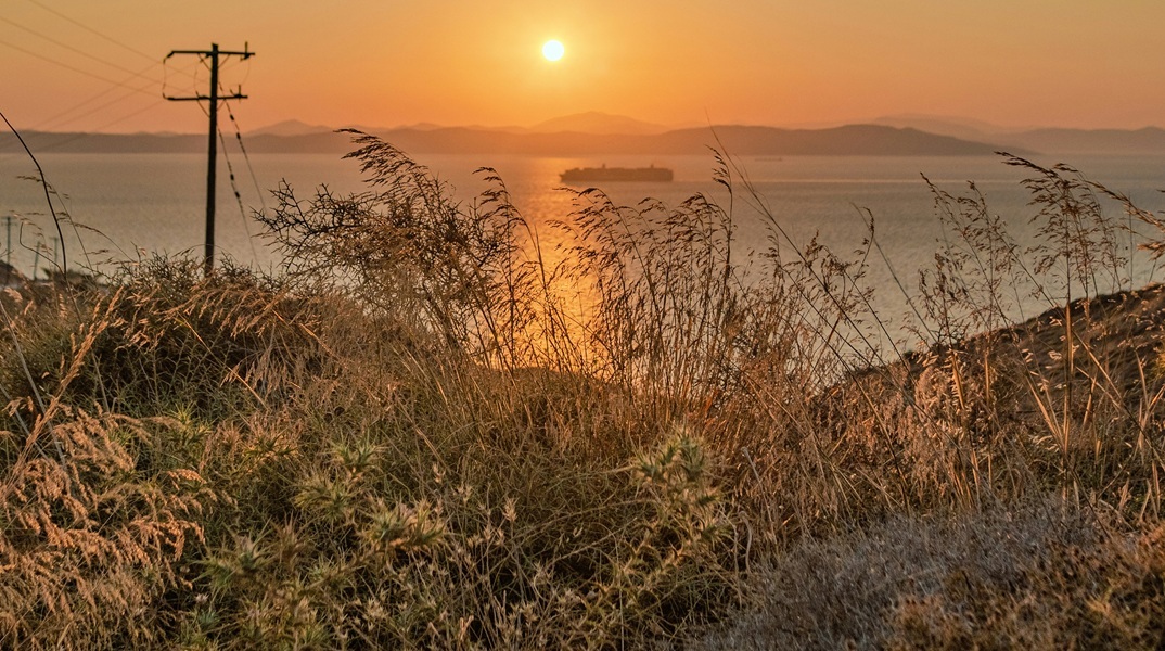 Τζούντιθ Άλλεν Ευσταθίου: Τα ανθισμένα μονοπάτια της Κέας