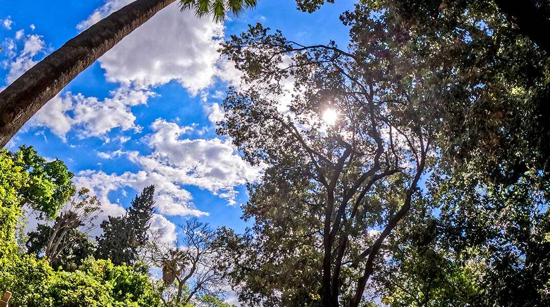 Καλός καιρός με ηλιοφάνεια