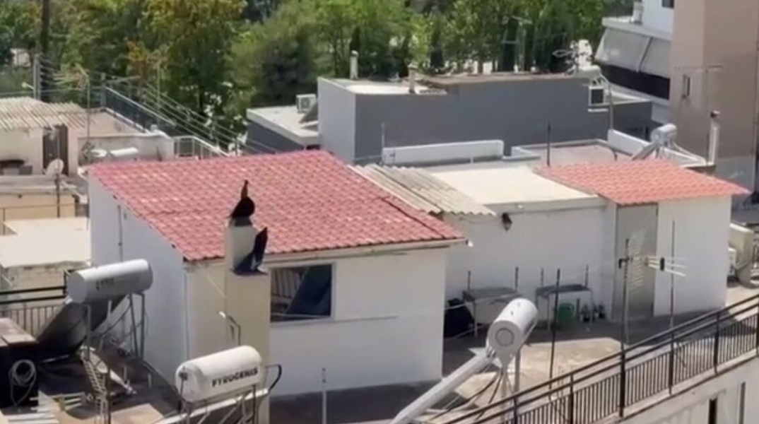 Το δώμα στο οποίο διέμενε η πολύτεκνη οικογένεια στο Περιστέρι