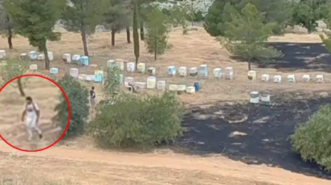 Φιλοθέη: Βίντεο δείχνει μελισσοκόμο να απομακρύνεται από το σημείο της φωτιάς