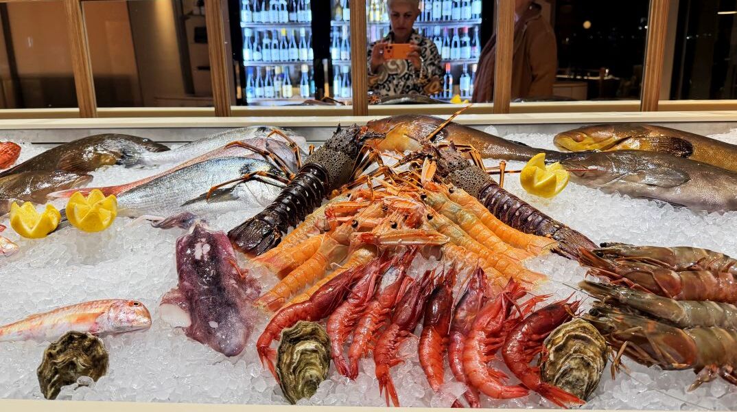Casa Fish 