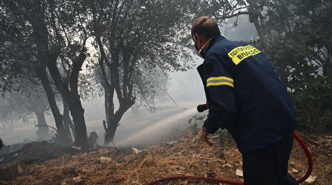 Φωτιά τώρα στη Φθιώτιδα - Επιχειρούν τρία εναέρια μέσα