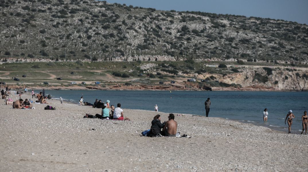 Λαγοκέφαλος επιτέθηκε σε γυναίκα που κολυμπούσε στη Βάρκιζα - Τη δάγκωσε στο πόδι, χρειάστηκε ράμματα